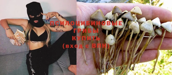 прущие крисы Снежногорск