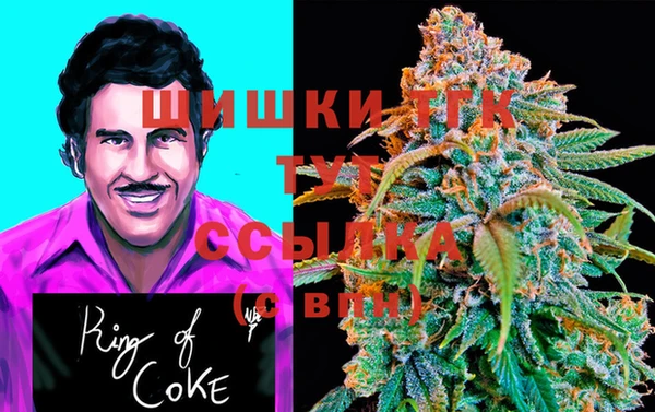 шишки Беломорск