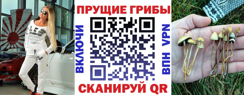 Галлюциногенные грибы Psilocybine cubensis  Коммунар 