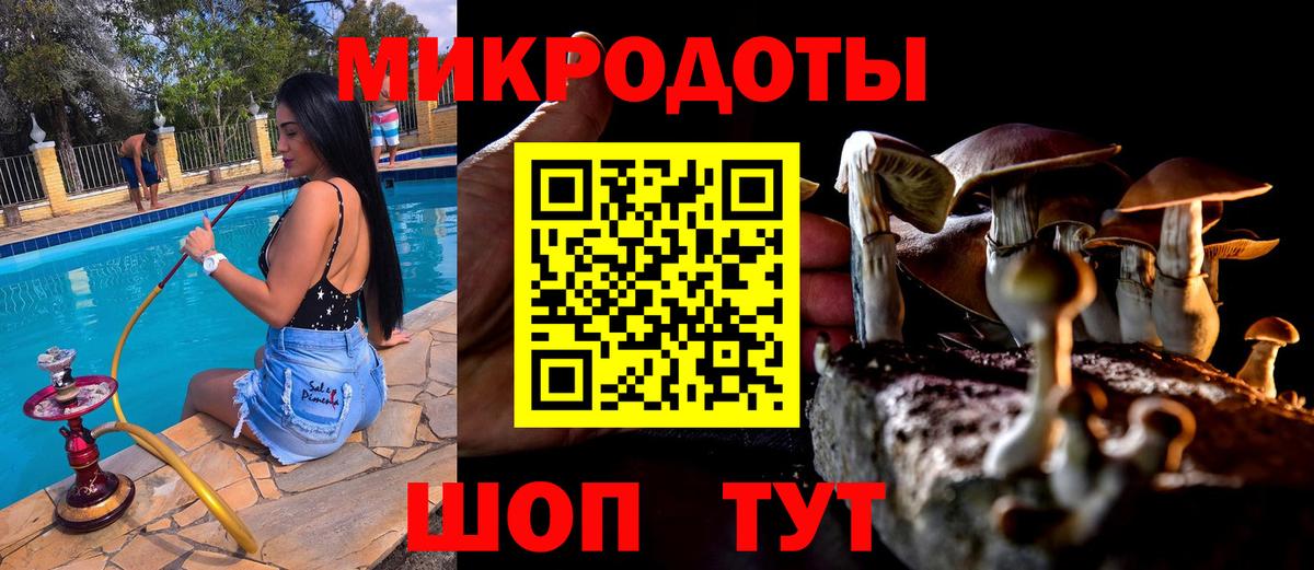 Коммунар  Псилоцибиновые грибы Cubensis  Вход с VPN  Псилоцибиновые грибы Cubensis 