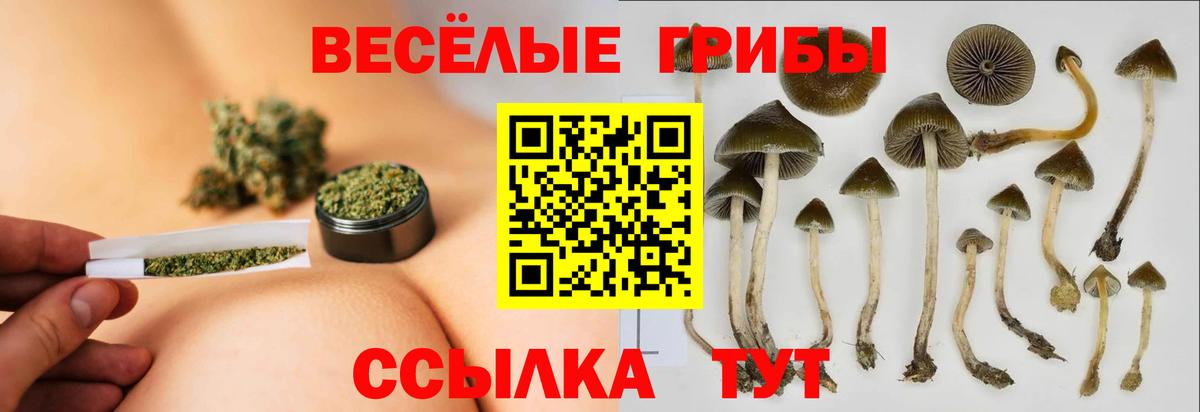 Псилоцибиновые грибы MAGIC MUSHROOMS Коммунар