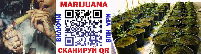 купить наркотик  мориарти как зайти  МАРИХУАНА SATIVA & INDICA  Коммунар 